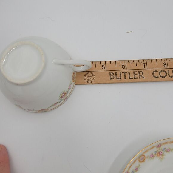 Vintage MZ Austria Habsburg China Teacup Saucer Floral Porcelain Gold Trim - Picture 11 of 11